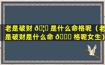 老是破财 🦈 是什么命格呢（老是破财是什么命 🍀 格呢女生）